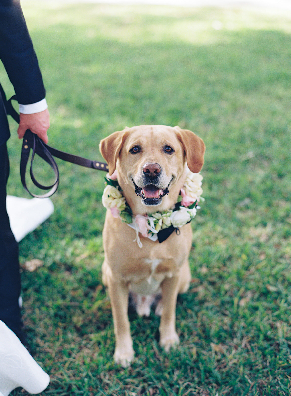 Lowndes_grove_destination_fall_wedding_kailee_dimeglio_photography-124