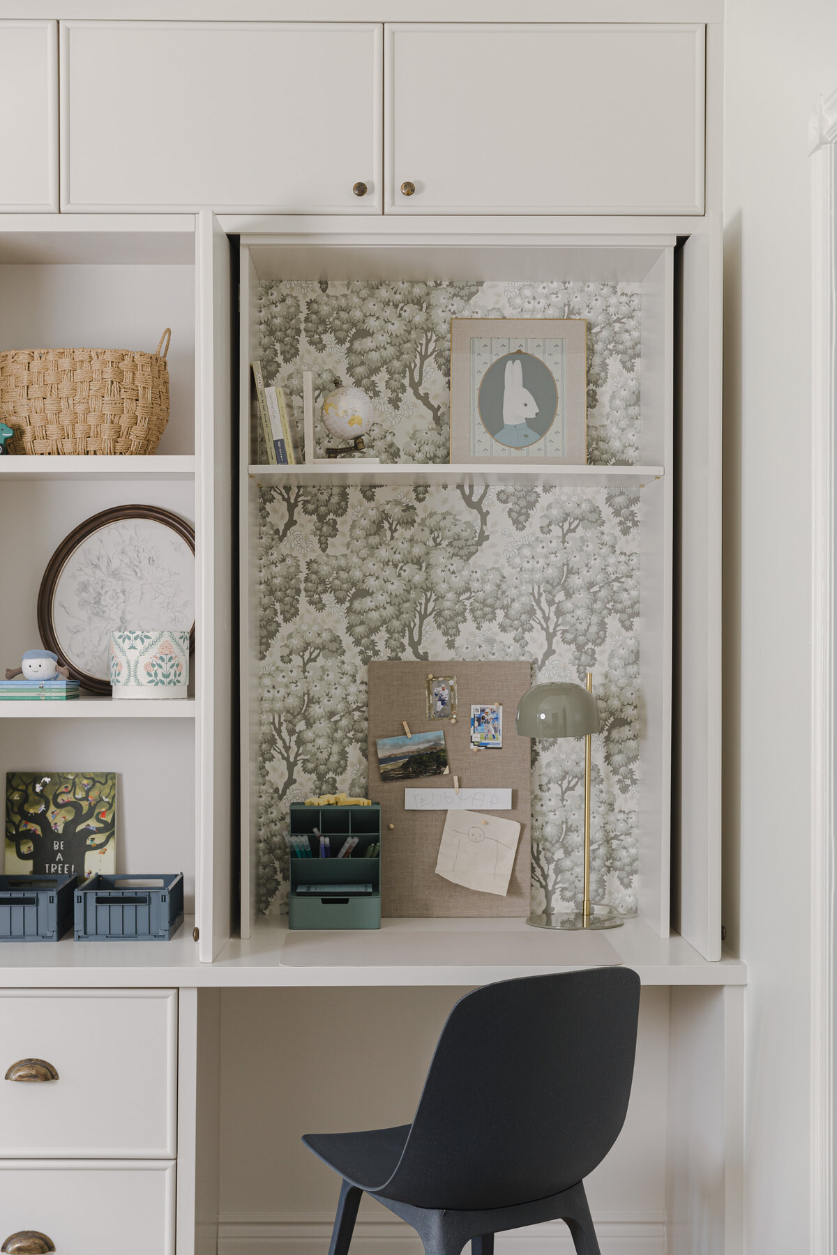 Living room bookshelves