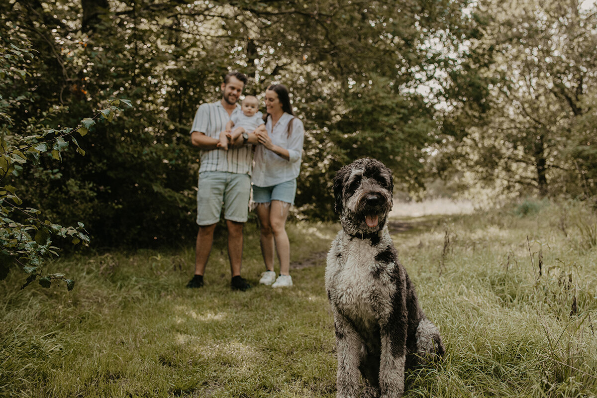 Nique Fotografie - gezinsfotograaf bollenstreek