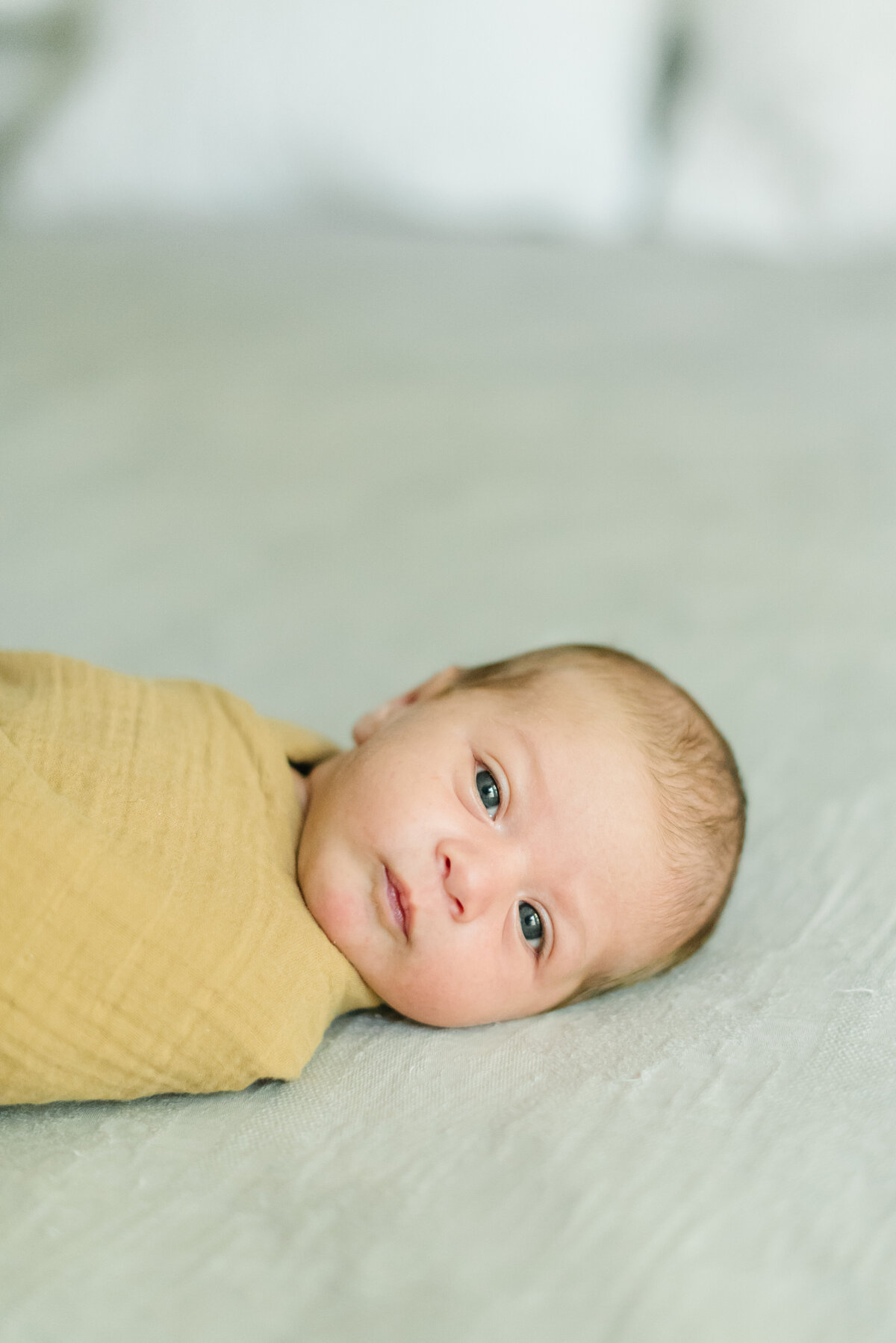 Curious baby looking at camera in yellow swaddle