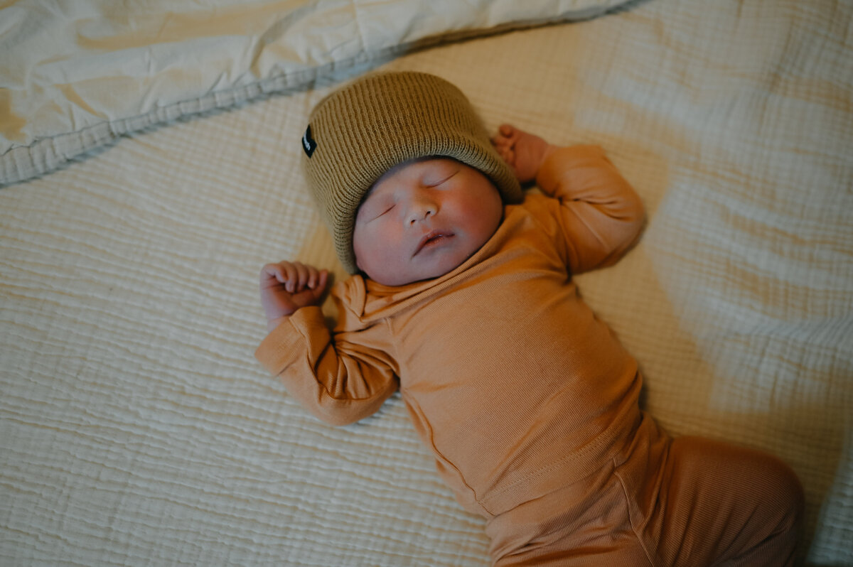 jeminiphotomichiganpbirthhotographer93