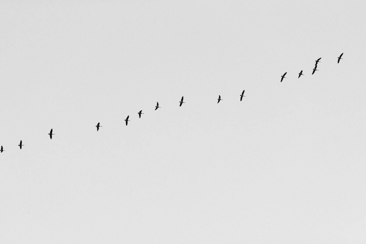 Michigan Wedding Photographer Burman Photography193