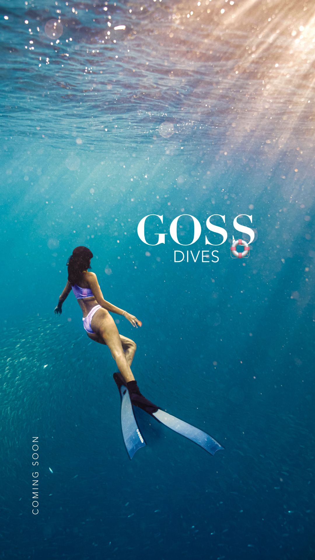 GOSS DIVES STORY
