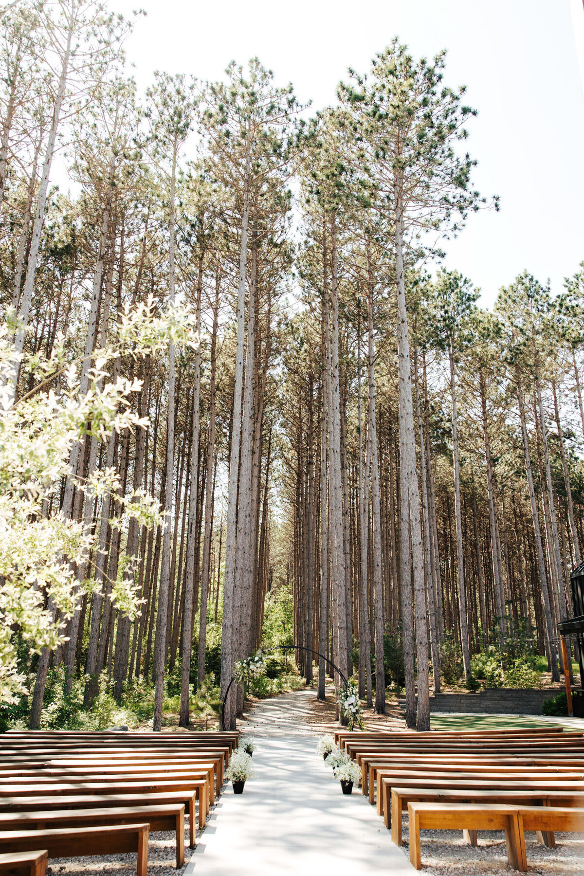 Pinewood Events - Minnesota Modern Nature Inspired Venue - spring - 3