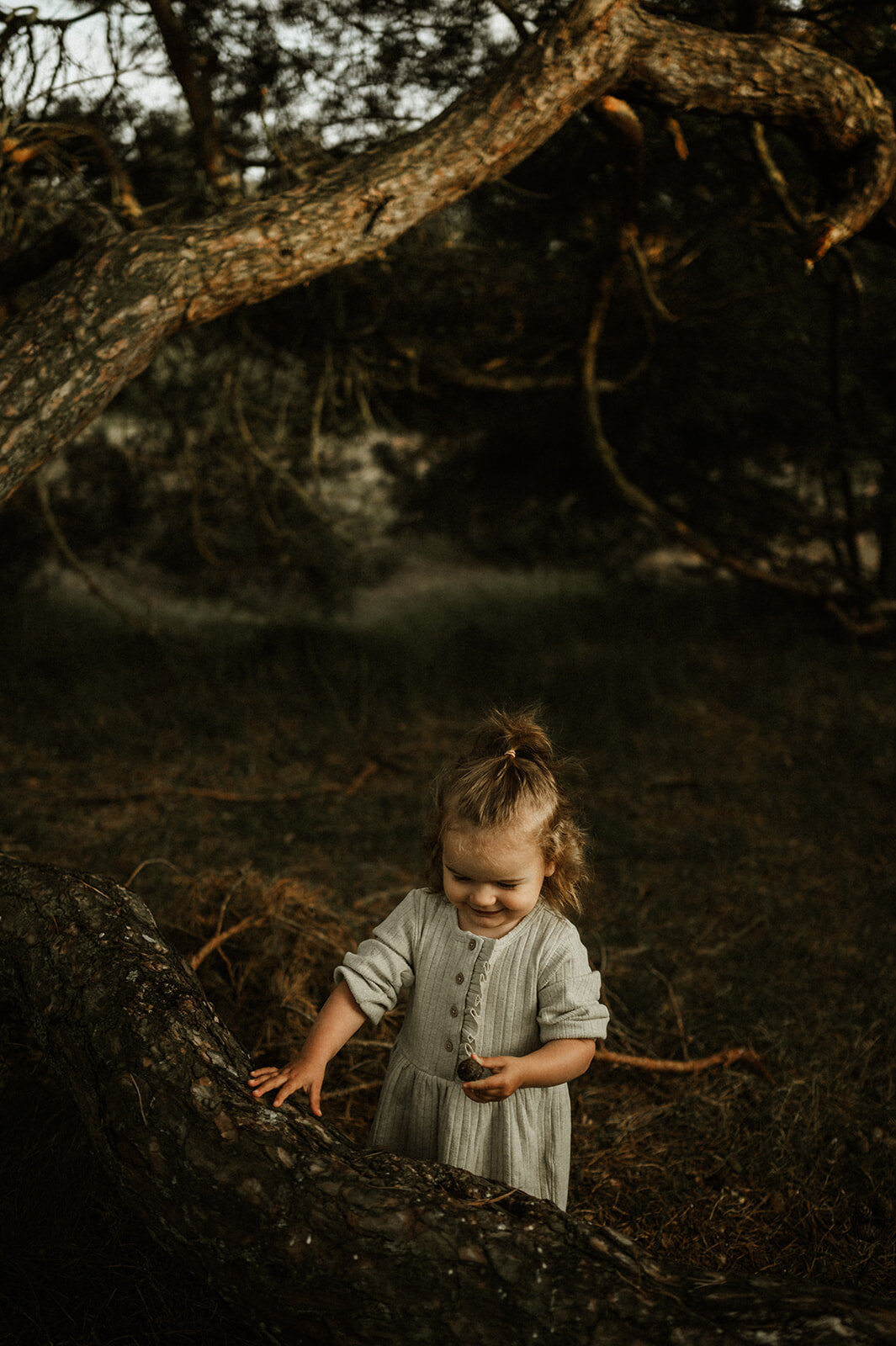 Gezinsfotografie in Nijlen tijdens golden hour – pure, spontane momenten vastgelegd in de heide.