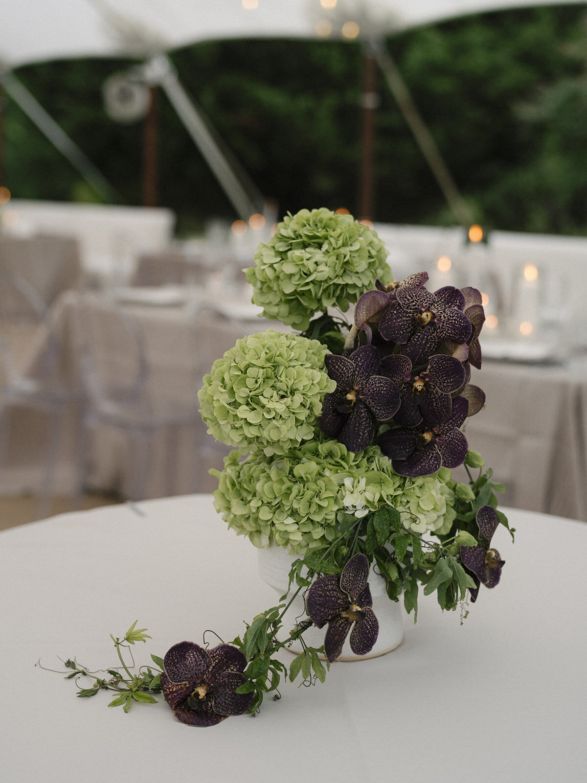 80-sophia-dan-inn-at-perry-cabin-maryland-wedding-0924