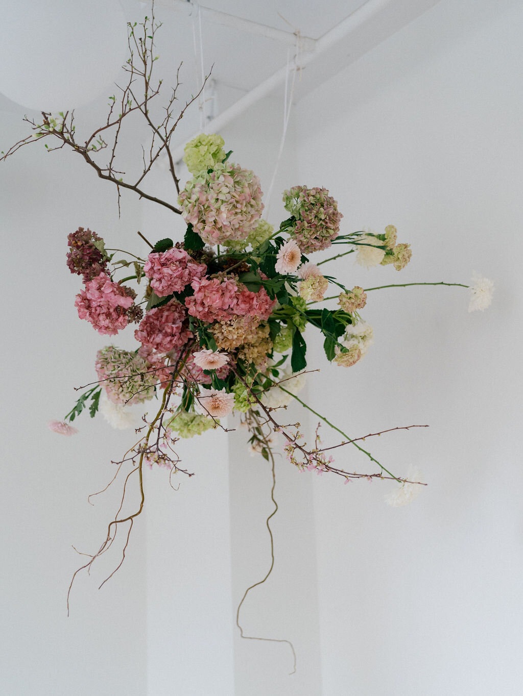 EditorialatEmersons2025160399