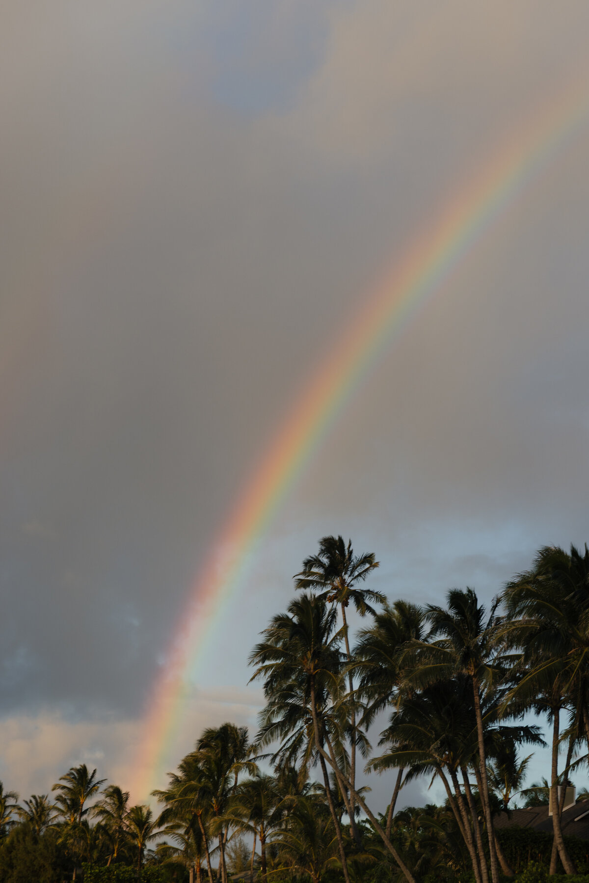 2024_0628_HCD_Kauai_056