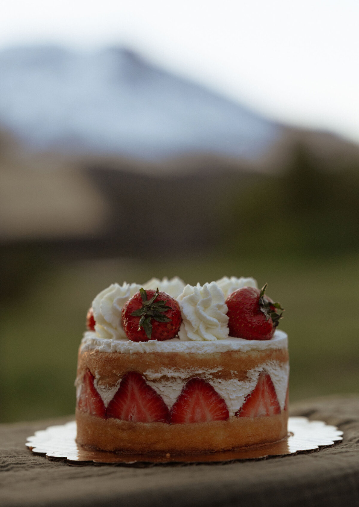 strawberry layered cake with white cream cheese frosting sits on a table amongst nature in Bend, OR