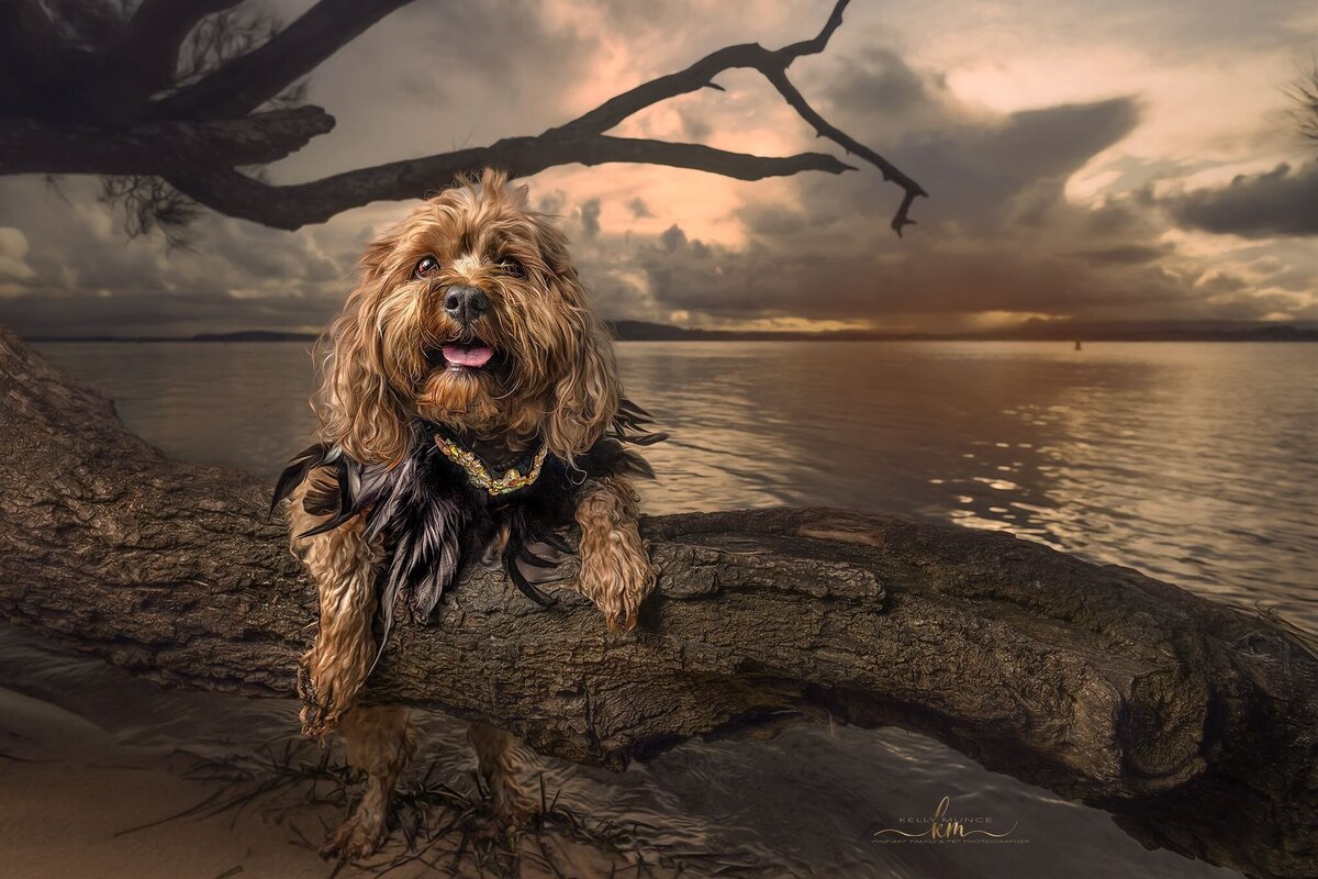 dog smiling wearing feathers