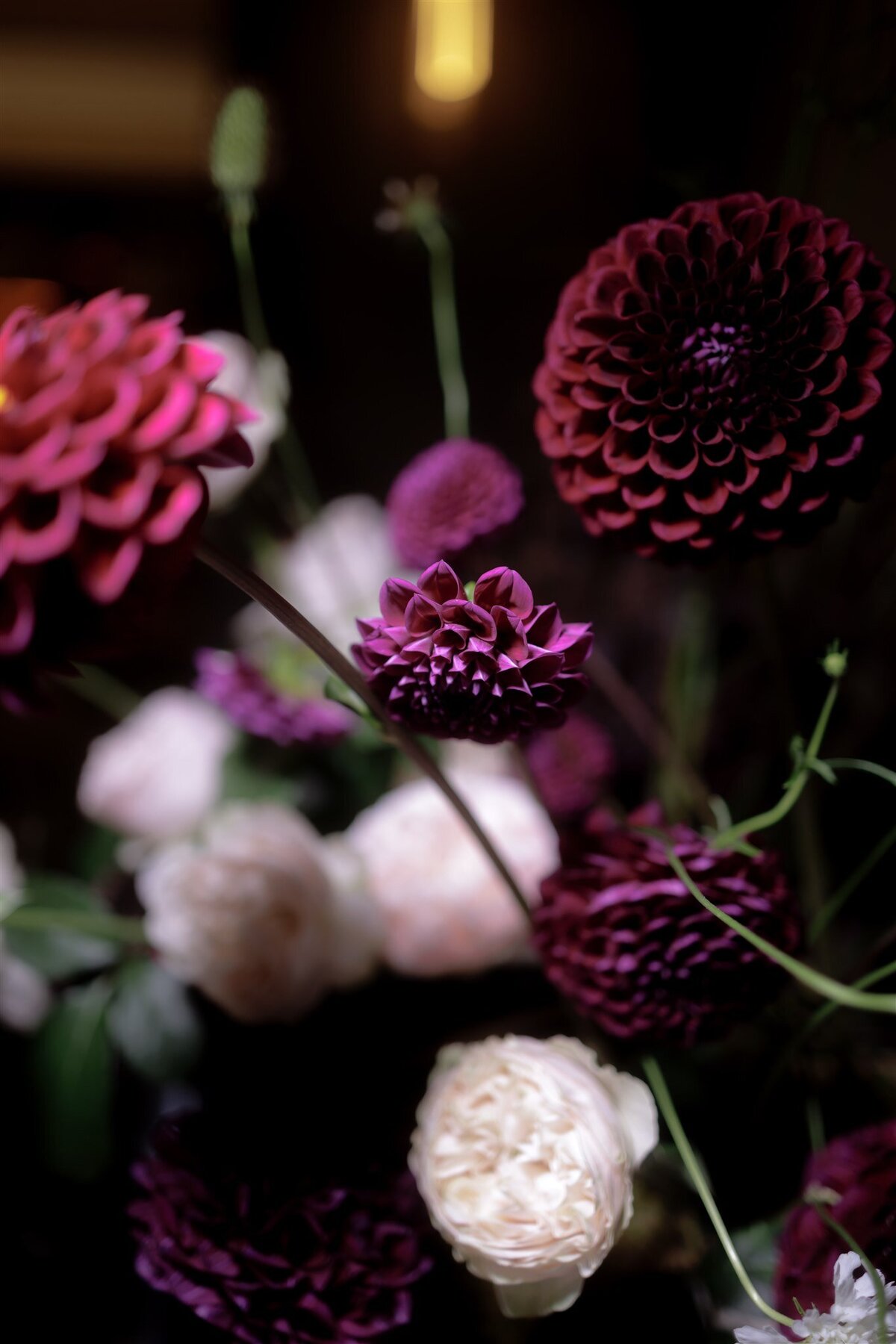 Maegan-Brown-Moments_20240120_Wedding_Stella-Julian_Botanical-Gardens_Sophia-Prahran-Arcade_3126