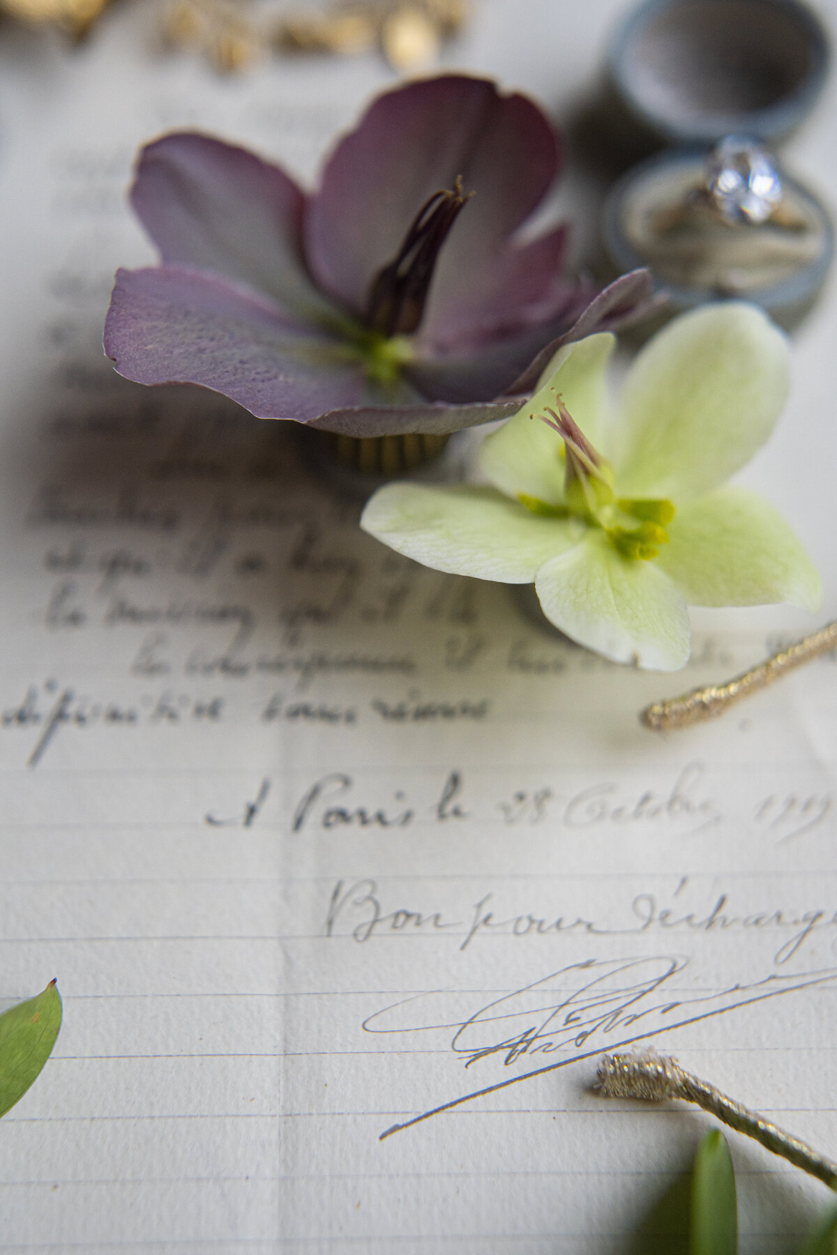 0122TheUniversityClubTorontoWeddingPhotographerLisaVigliottaPhotography