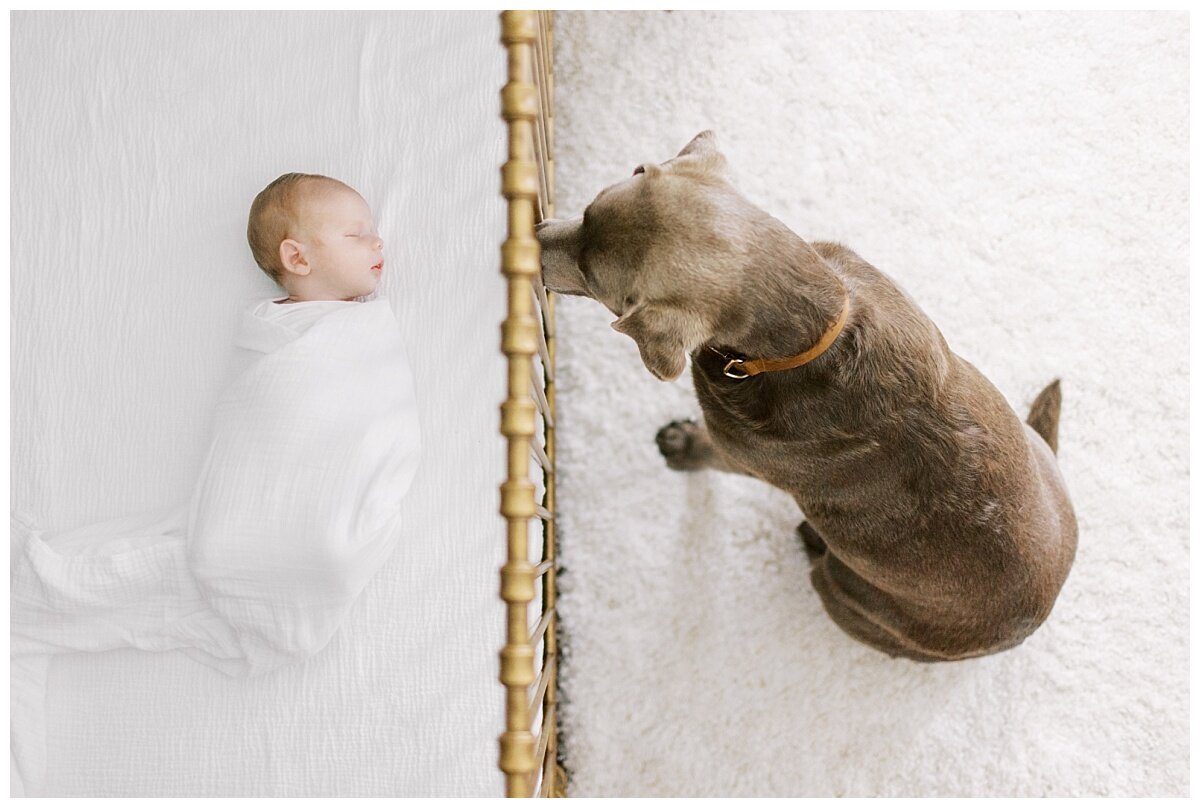 stuttgart-newborn-photographer (6)