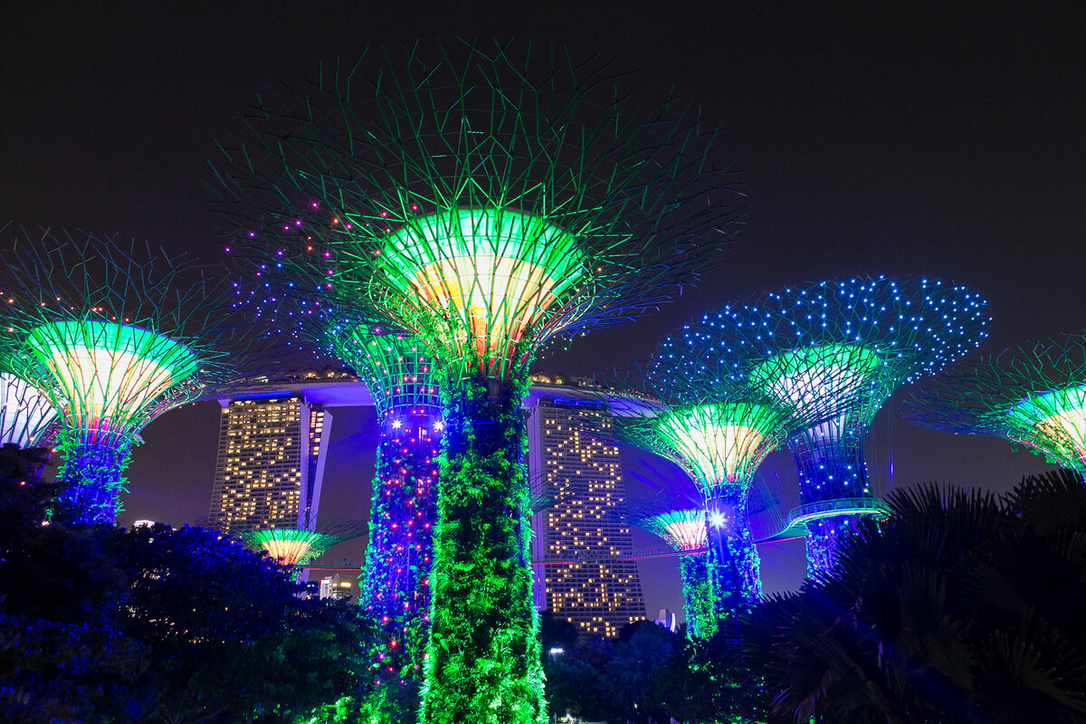 2017July-Singapore-0257