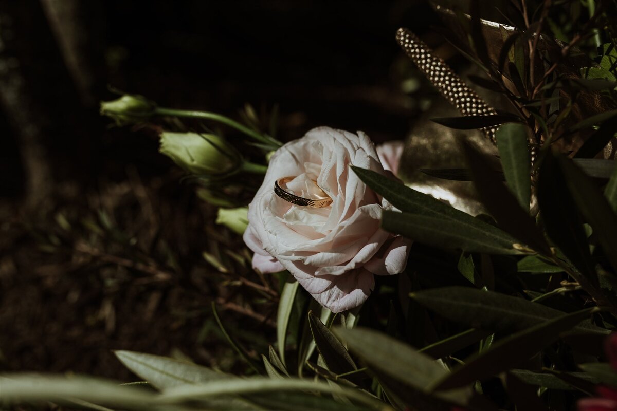 Gillian-Chris-Australian-Elopement-168