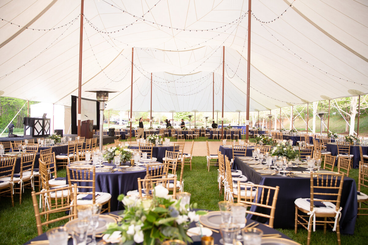 Asheville Event Co_Nonprofit event planner_10