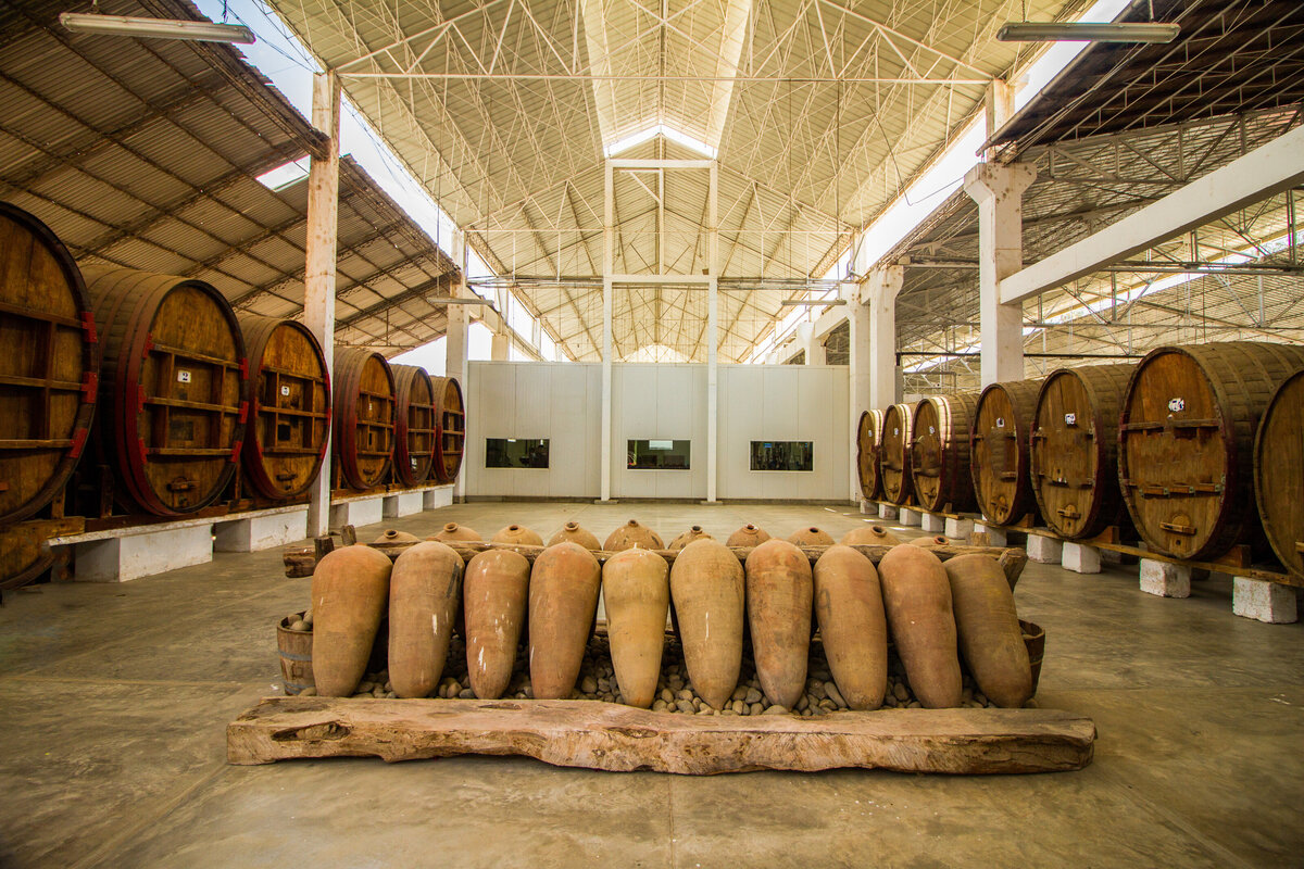 Waterstone - Metropolitan Touring- Peru - Luxury Destination Management Services - Viñedo_Sj73