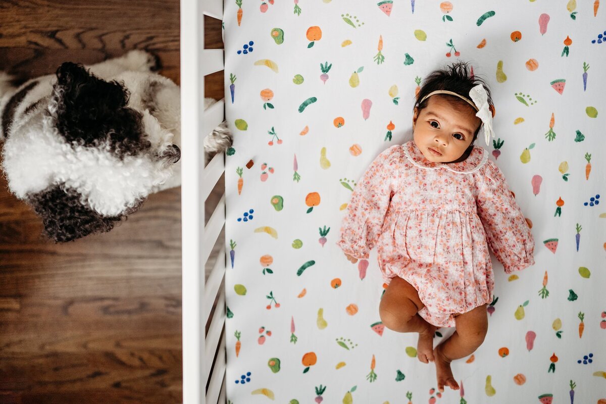 newborn-dog-crib