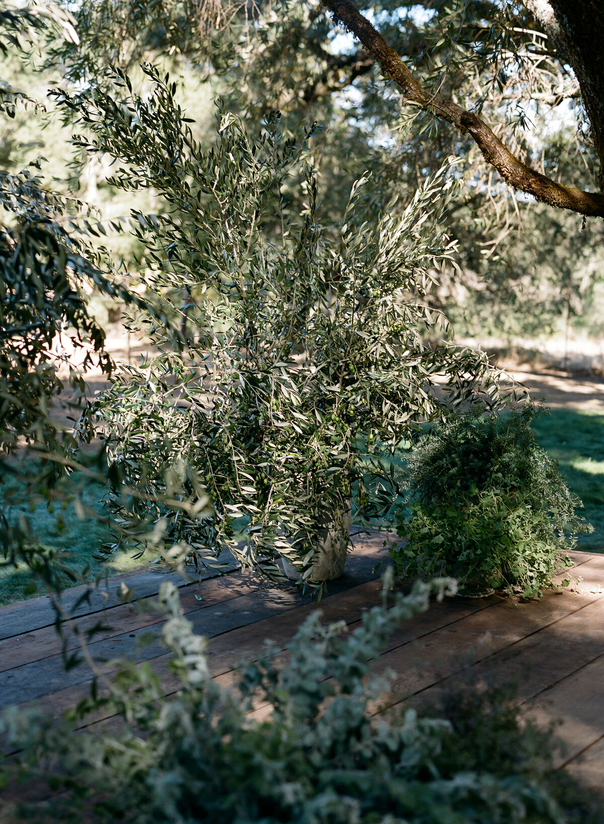 DT-2025-Celine & Gabe Highlights-238