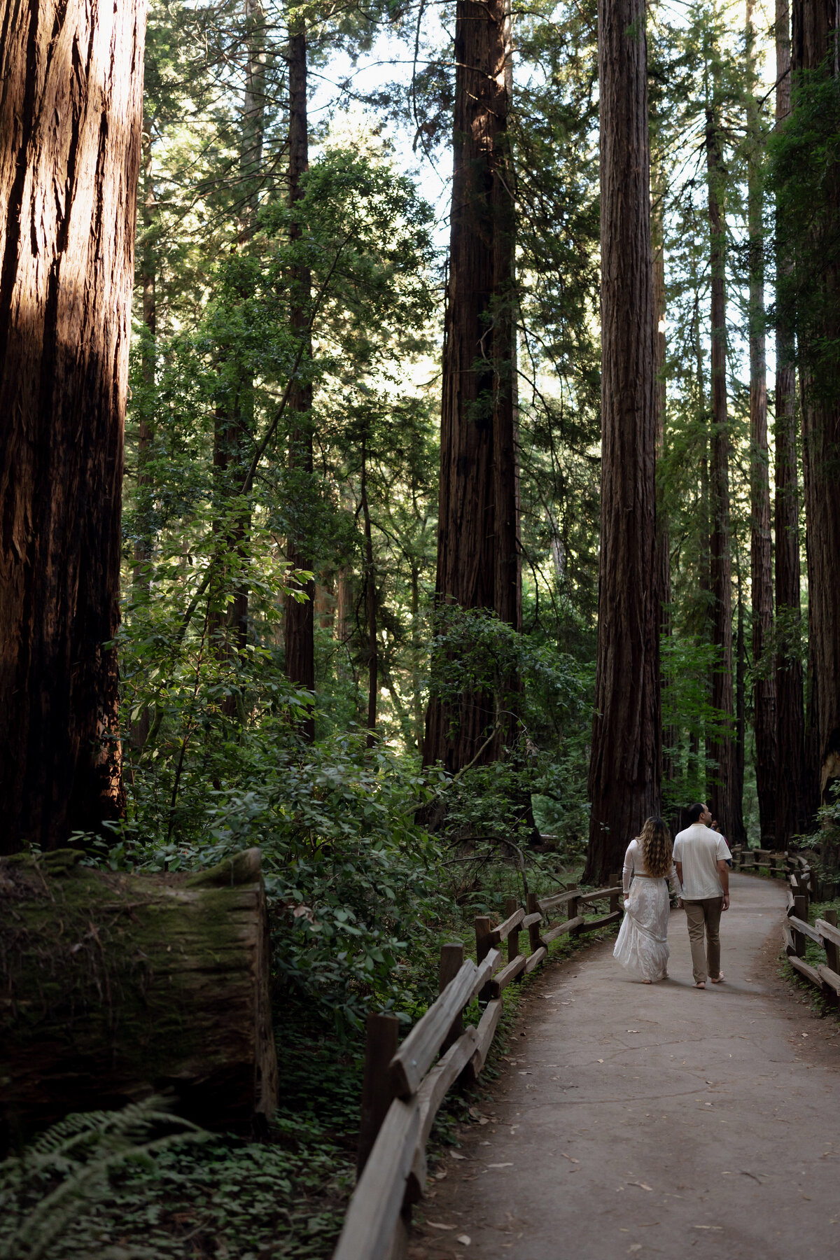 Redwoods-Elopement-79