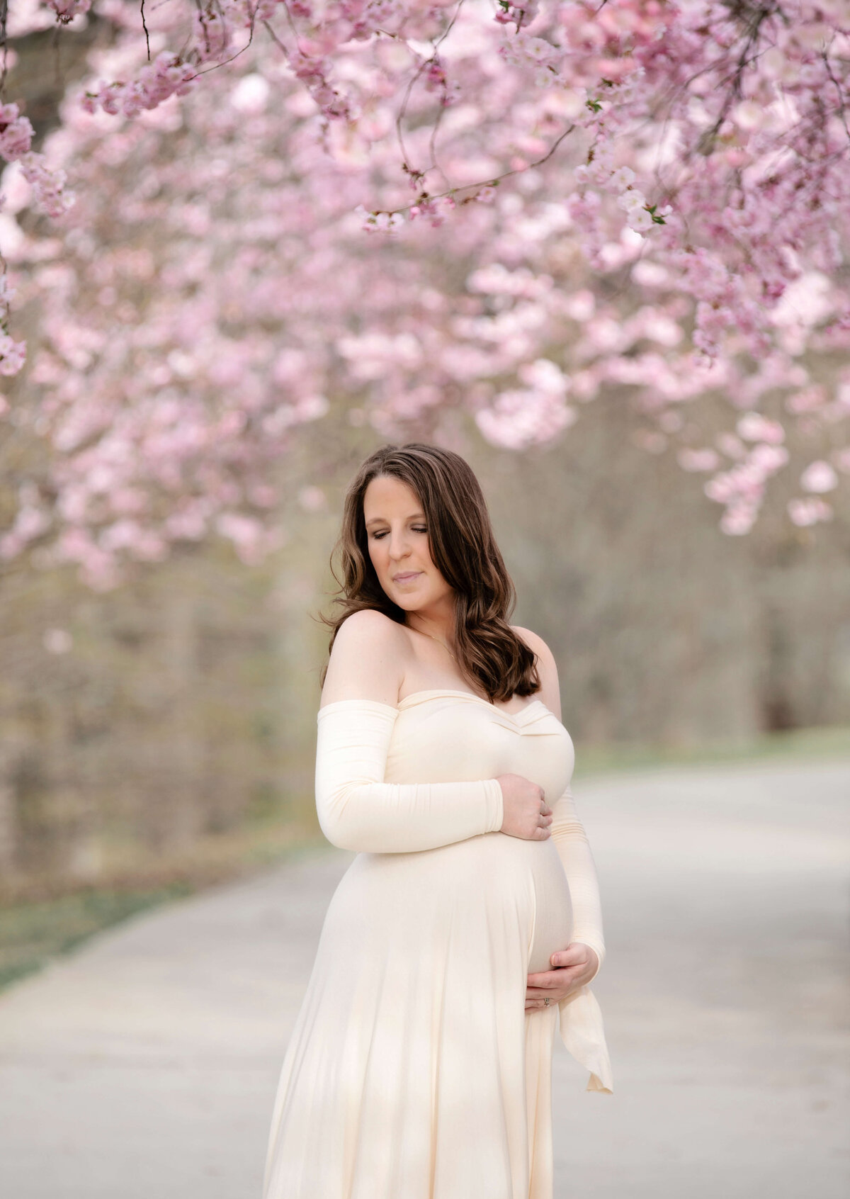 Maternity photos in Rochester NY in front of cherry blossoms
