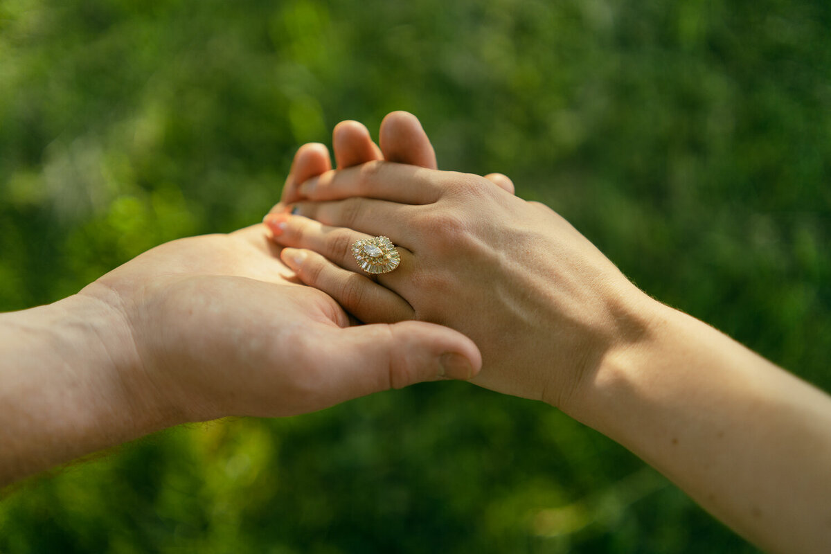 flower_field_knoxville_engagement-27