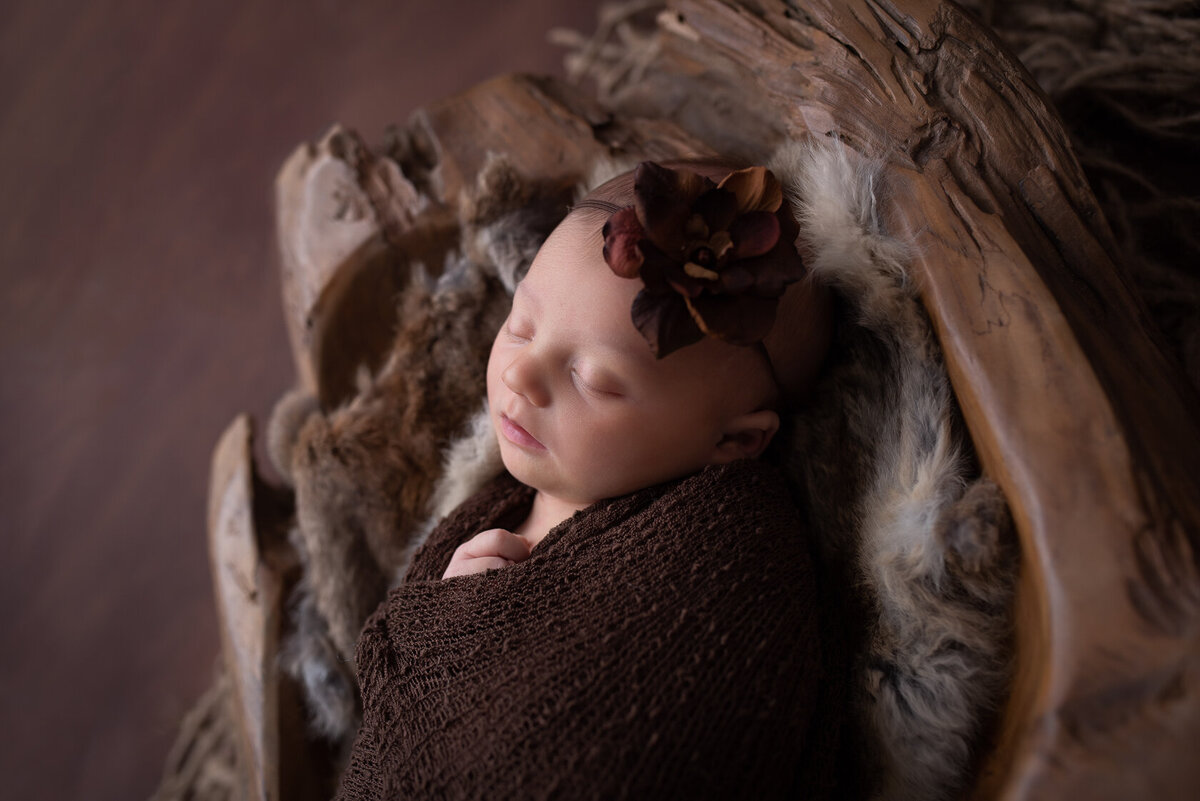 Red Flower Headdress in a newborn photoshoot by Houston Photographer