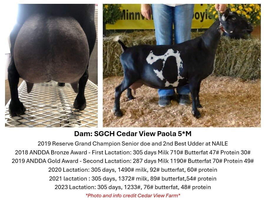 dam info