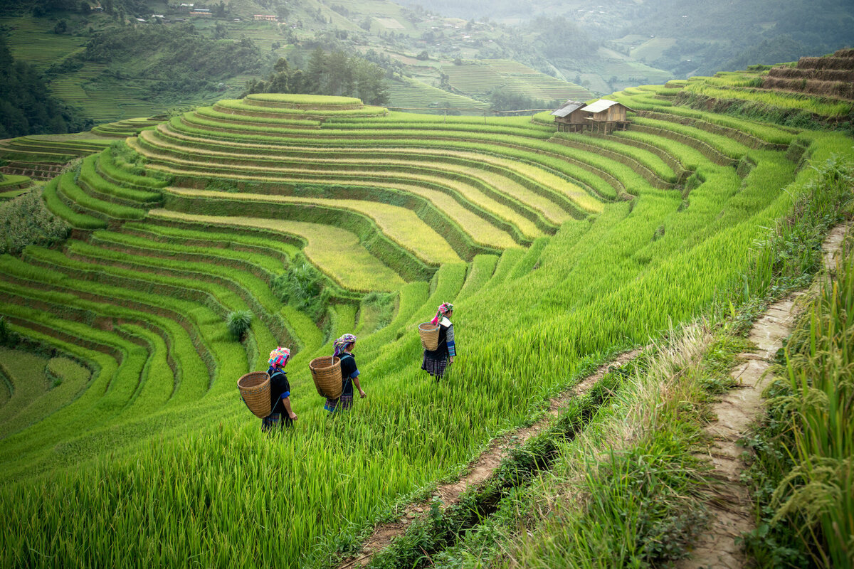 Vietnam-5