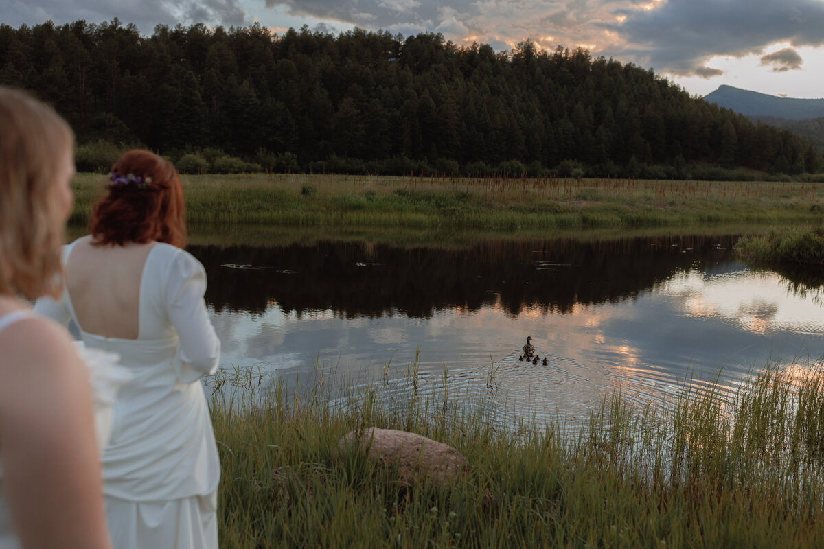 The Pridey_s-Wedding-20230630-381