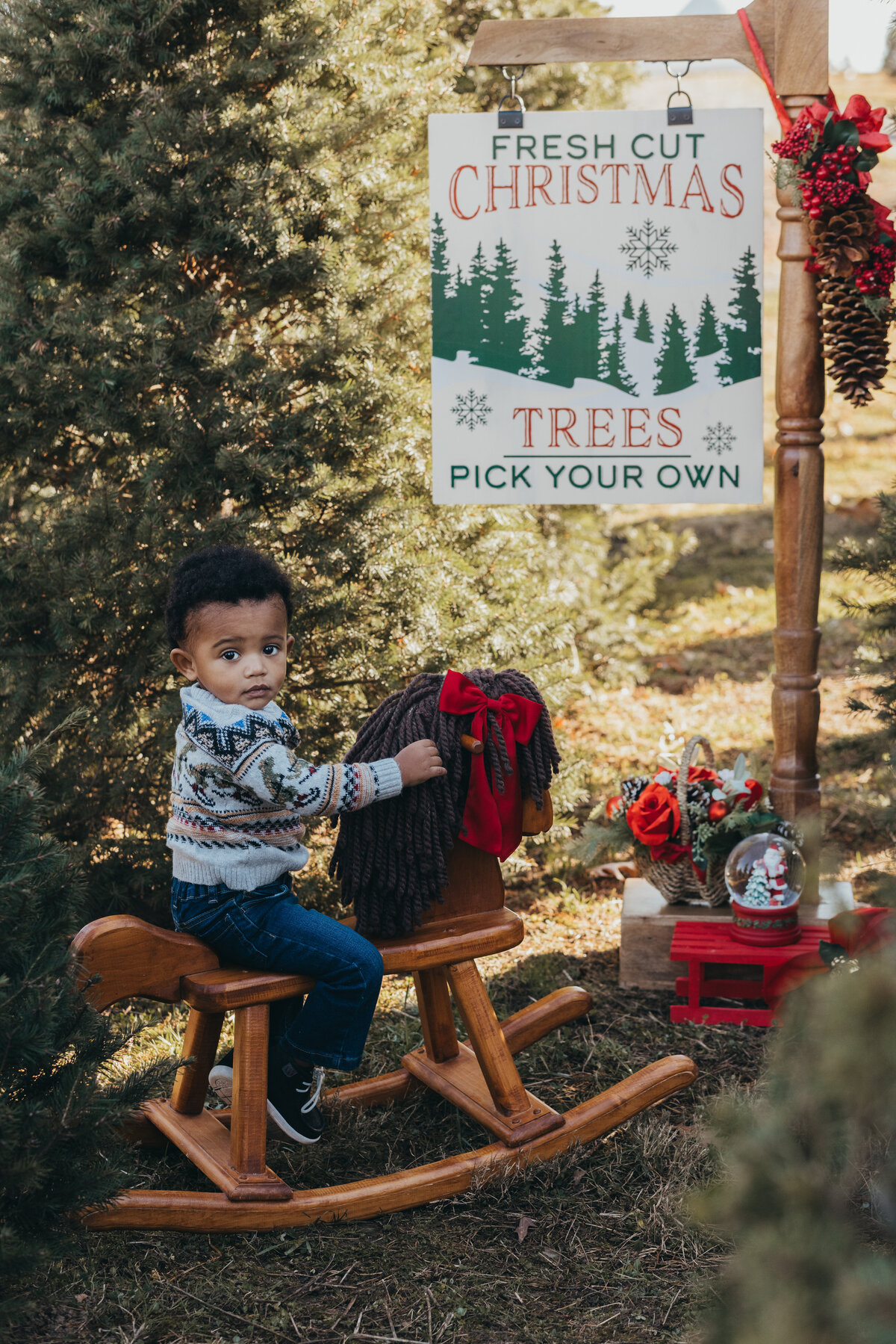 Love-To-Lens-Photography-Christmas-Tree-Farm-Minis-Hudson-Valley-NY (5)