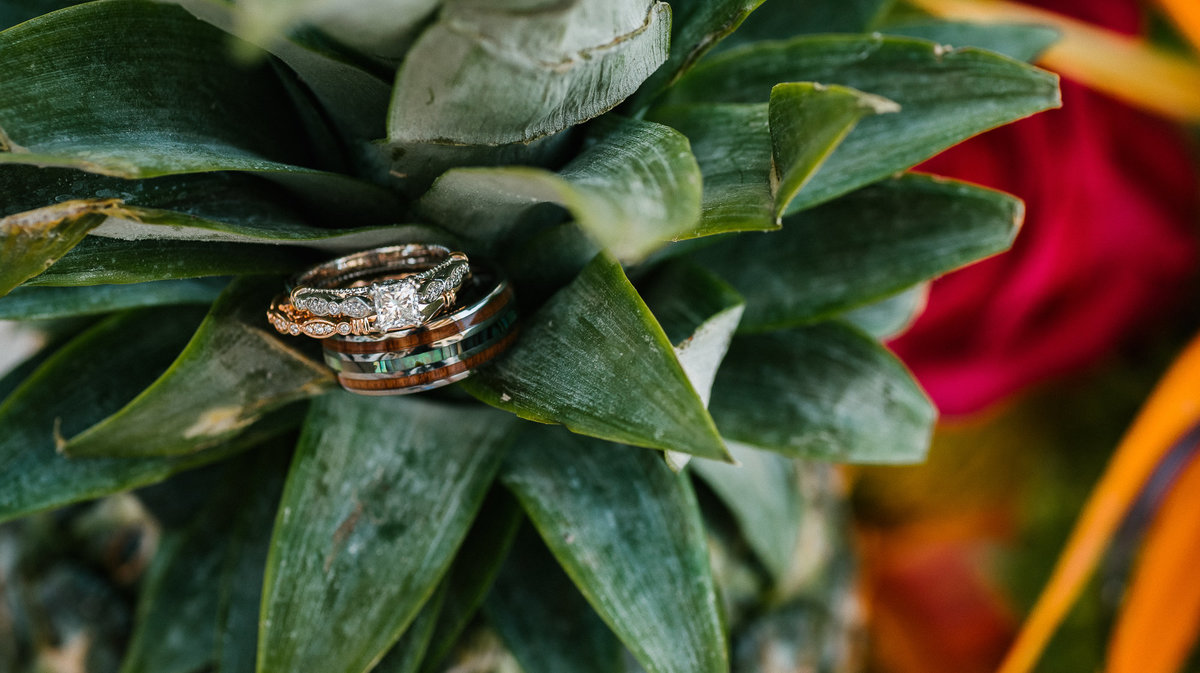 20190921-130508-AbbyShepardPhotography