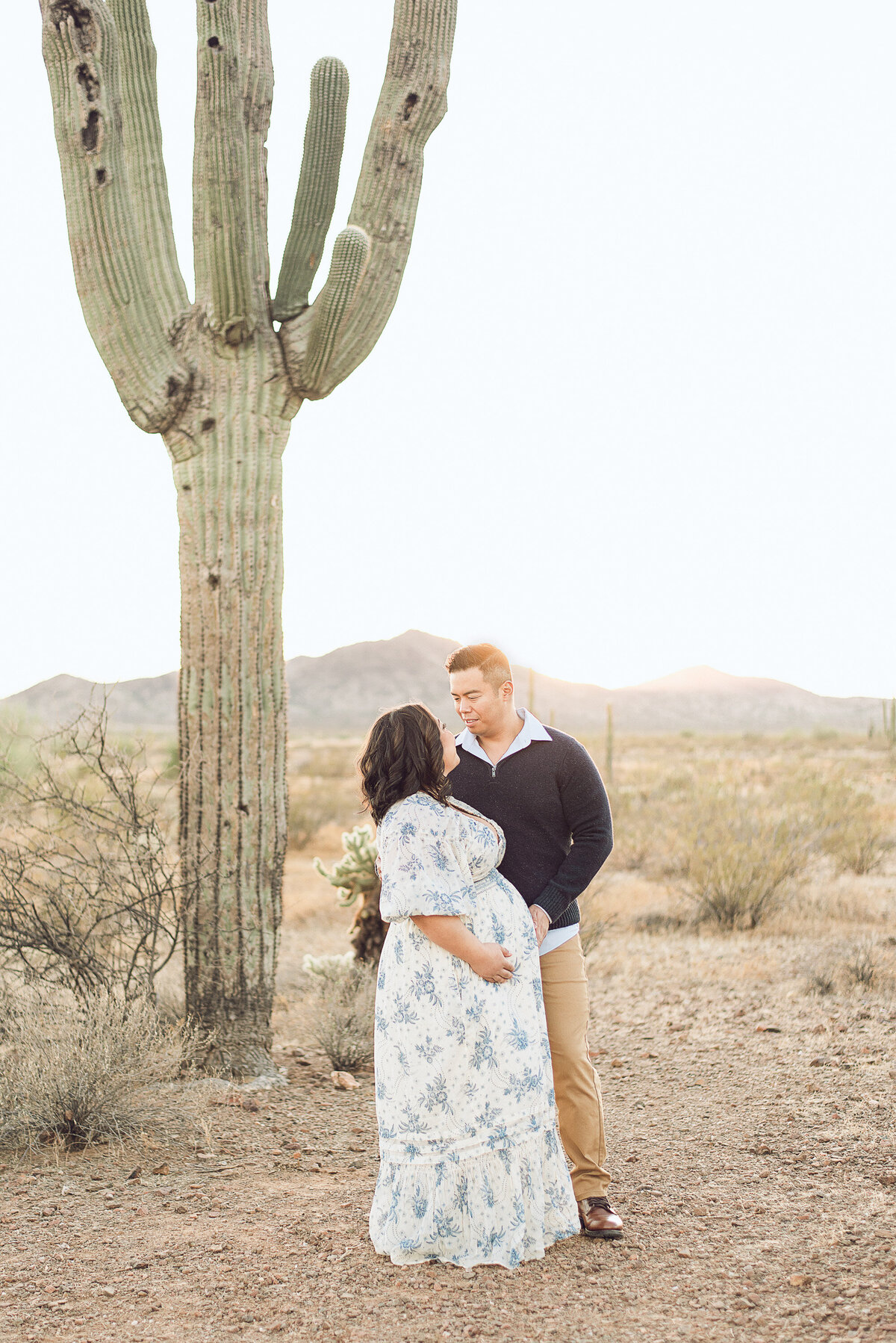 phoenix-maternity-photographer-360