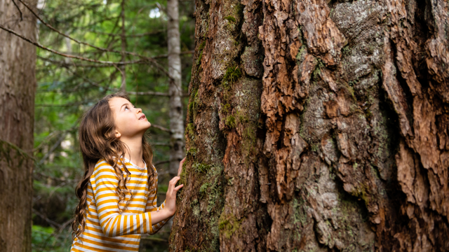 enfant-nature-eveil-arbre-inspiration