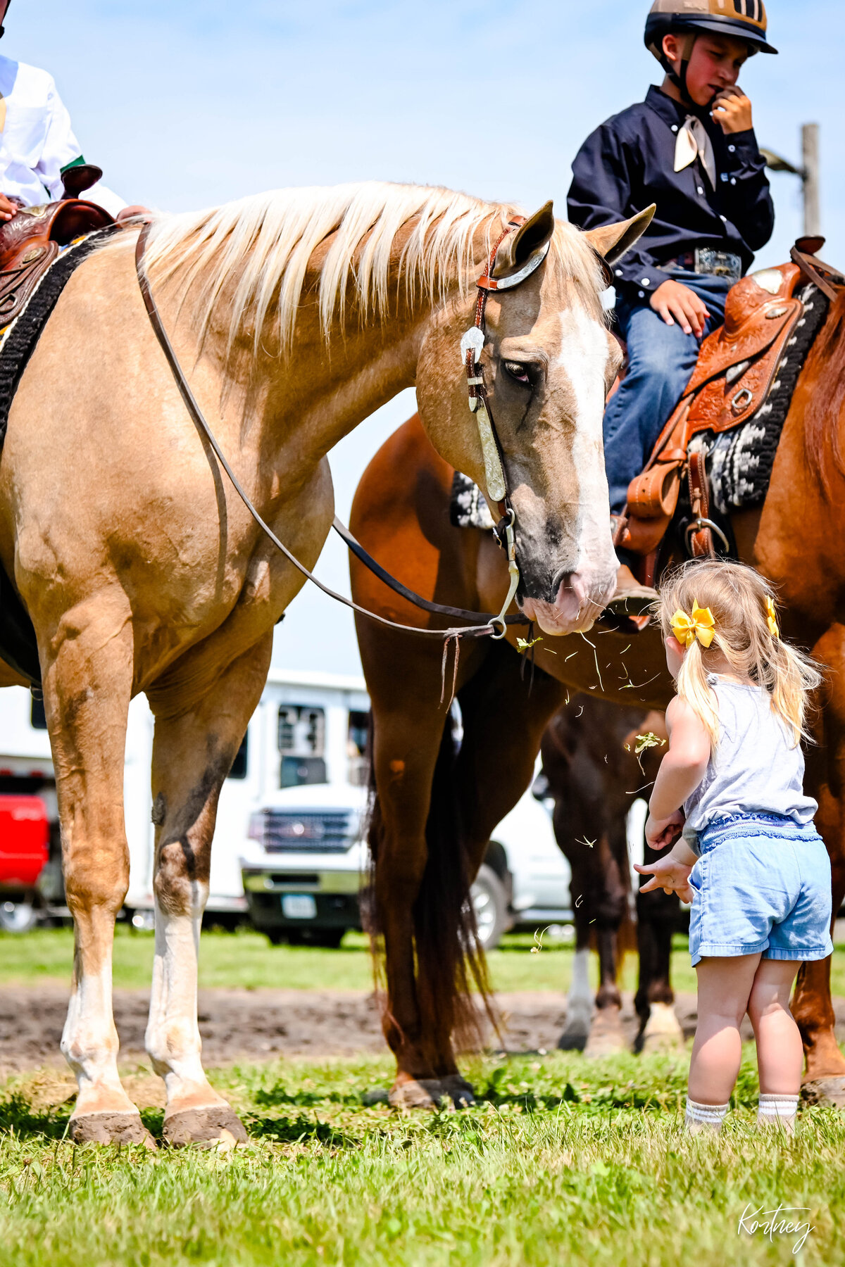 little girl blowing flower infront of horse