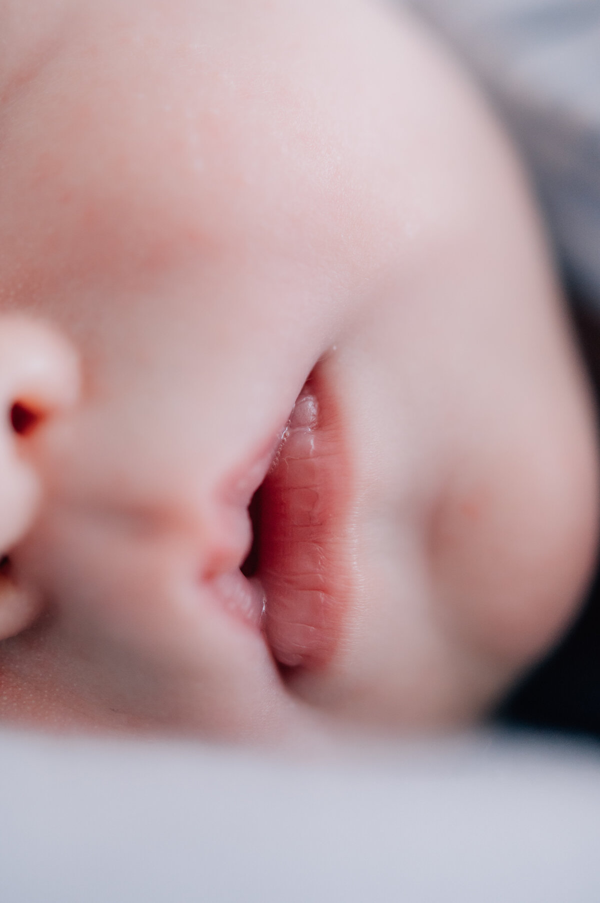 pa-newborn-photographer