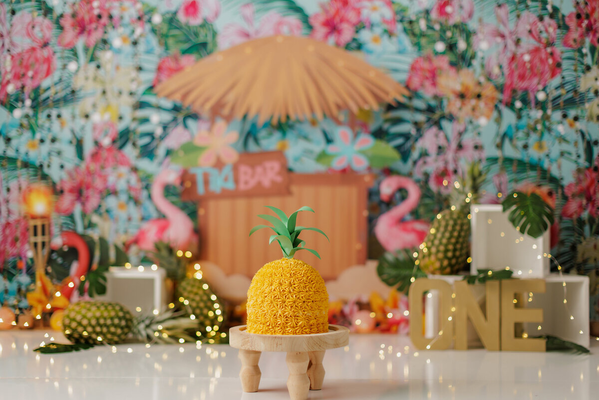 Pinapple Luau Huntsville AL Best Cake Smash First Birthday Photographer Studio