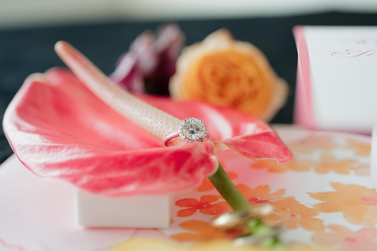 raleigh wedding photographer sunshine sentiments1-2