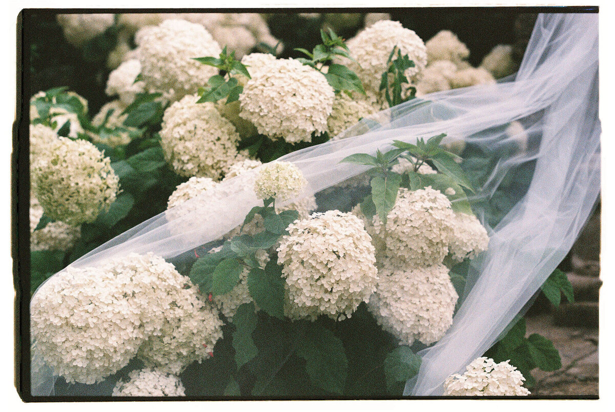 Europe wedding film photographer