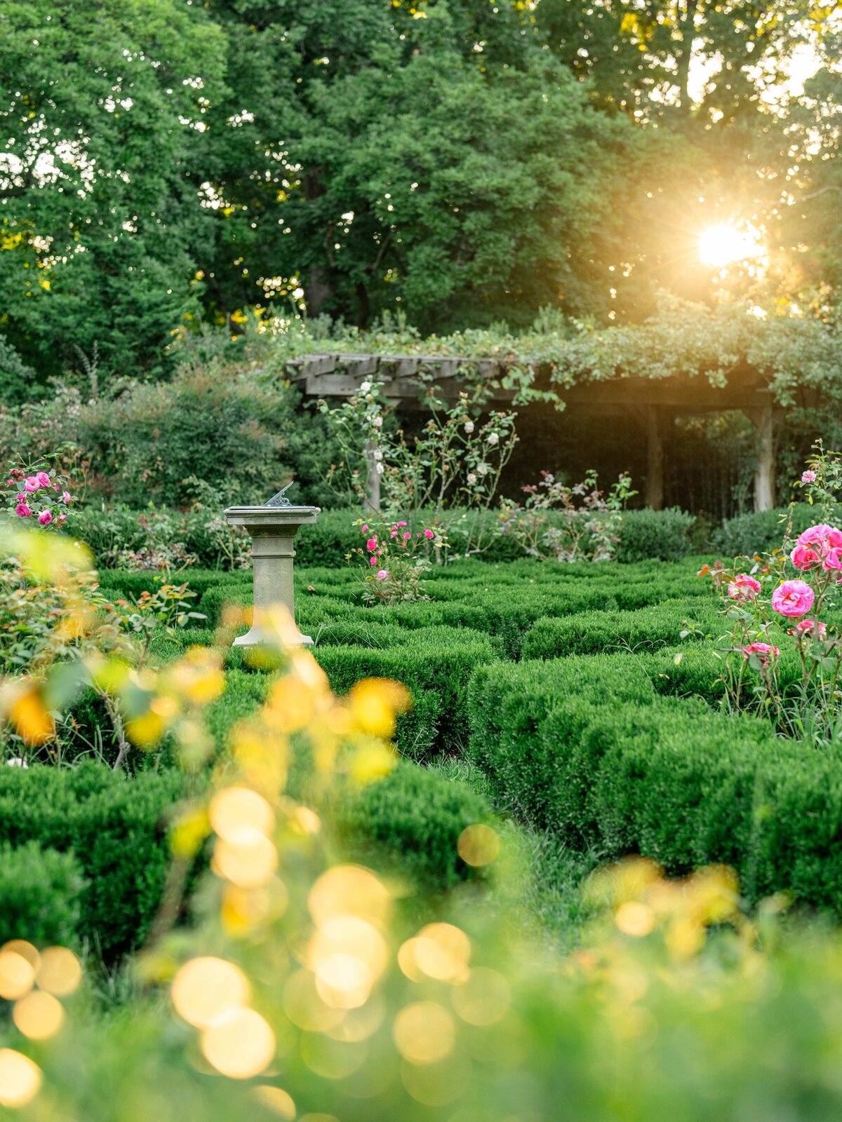 A lush garden with neatly trimmed hedges and blooming pink roses. A stone birdbath stands in the foreground. Sunlight filters through the trees, creating a warm, golden glow. A vine-covered pergola is visible in the background.