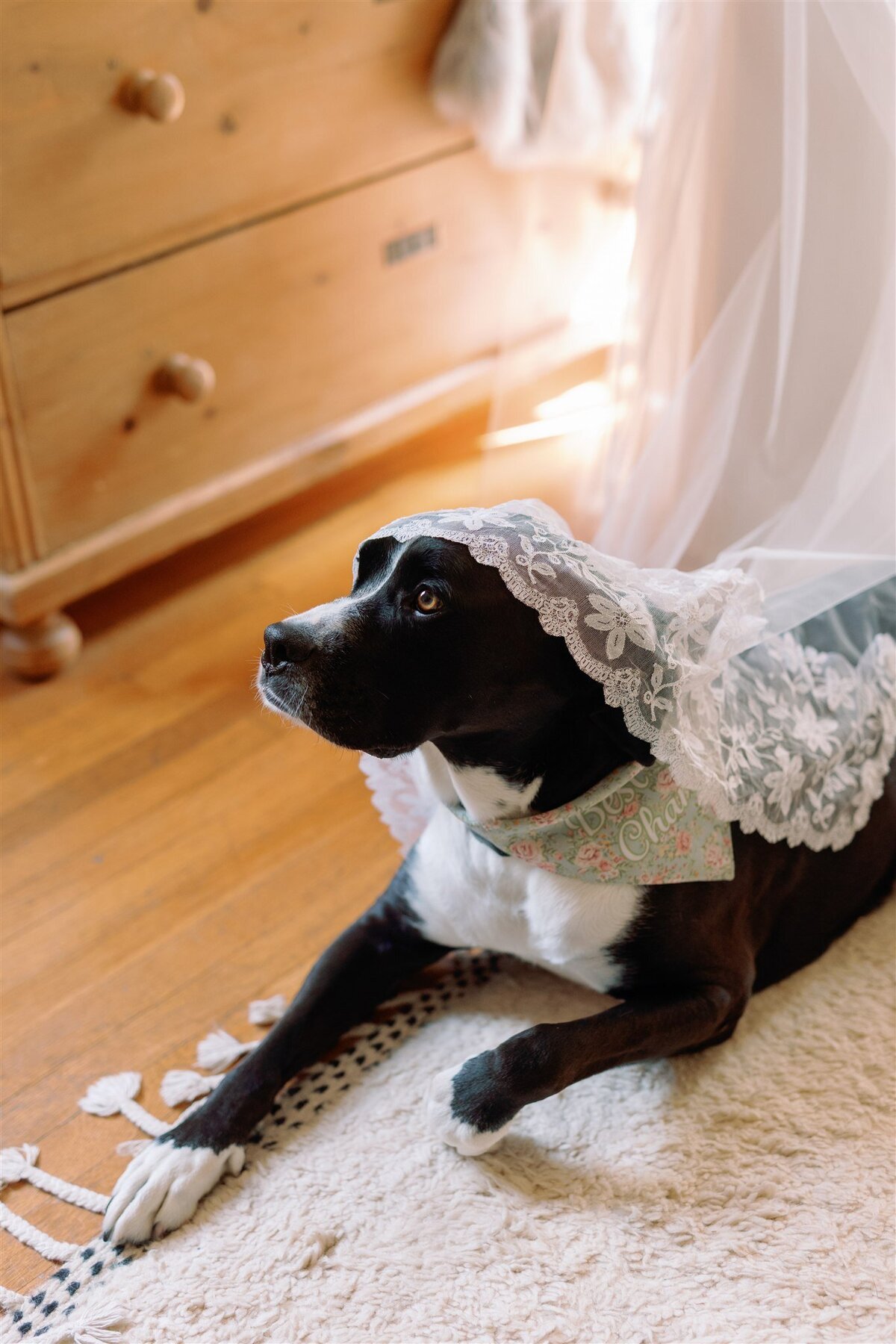 ERINFOX_EMILY&CHRIS_PREVIEW-2