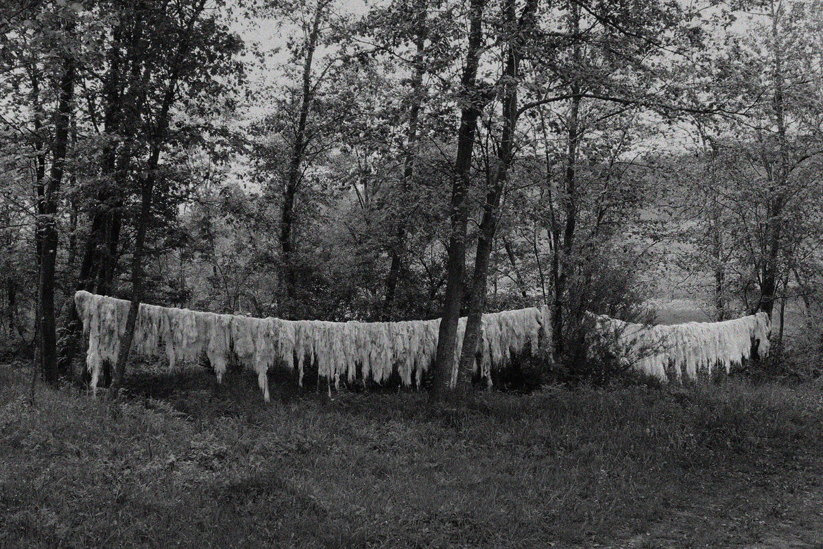 Bart Van der Moeren - Maramures - 014