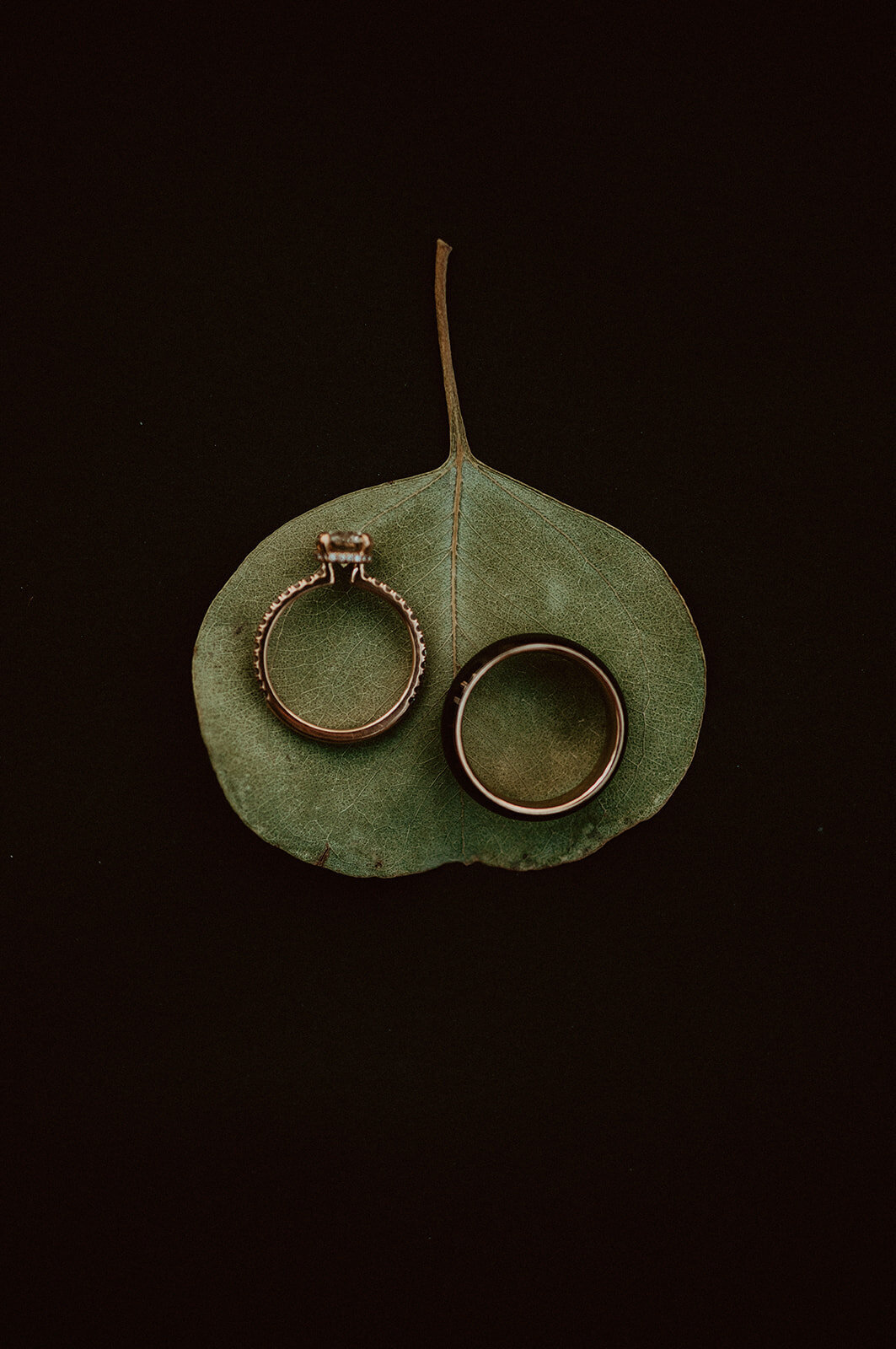 minimalist wedding rings on ginko leaf