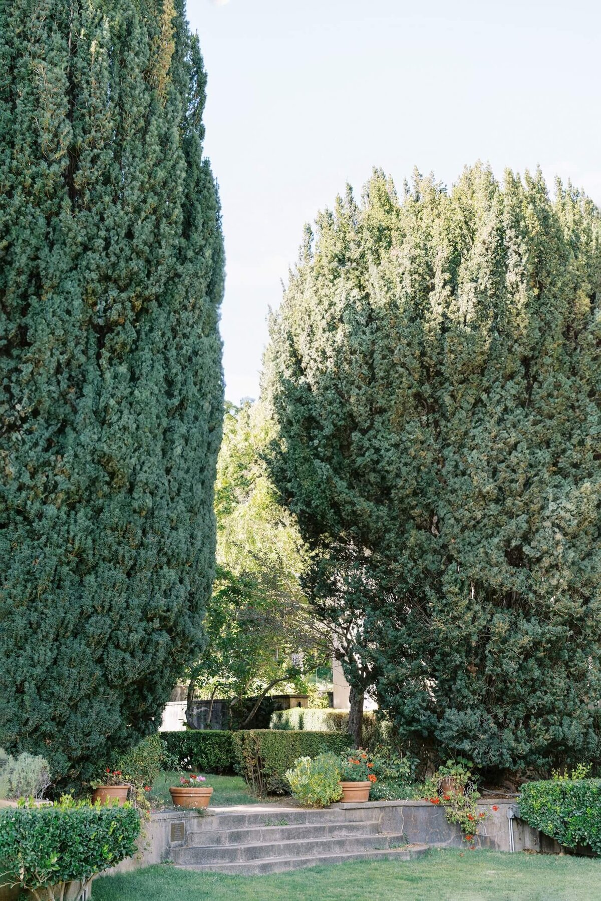carmel valley wedding_0019
