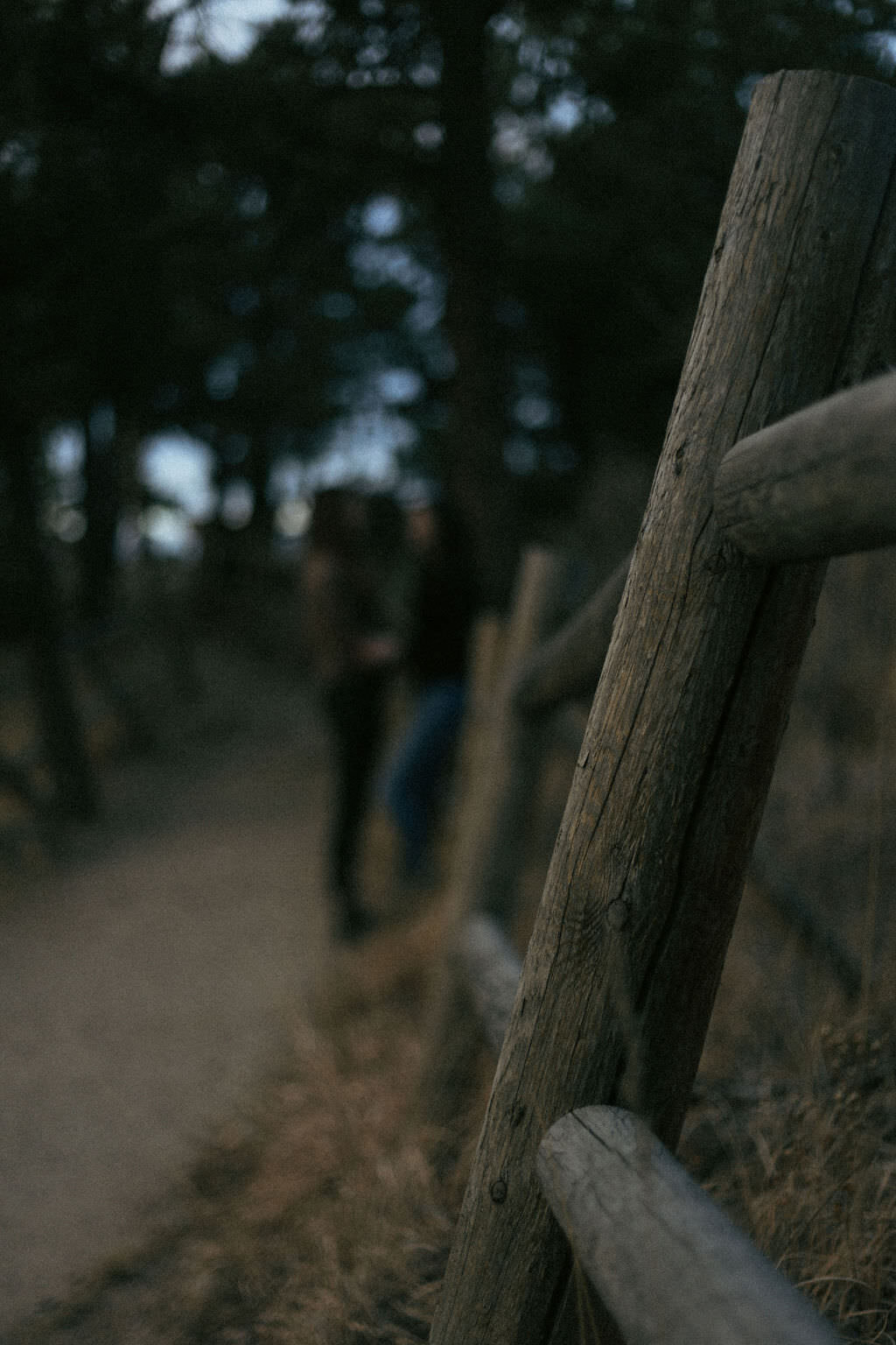 A blurred photo of a couple standing on a hiking path together.