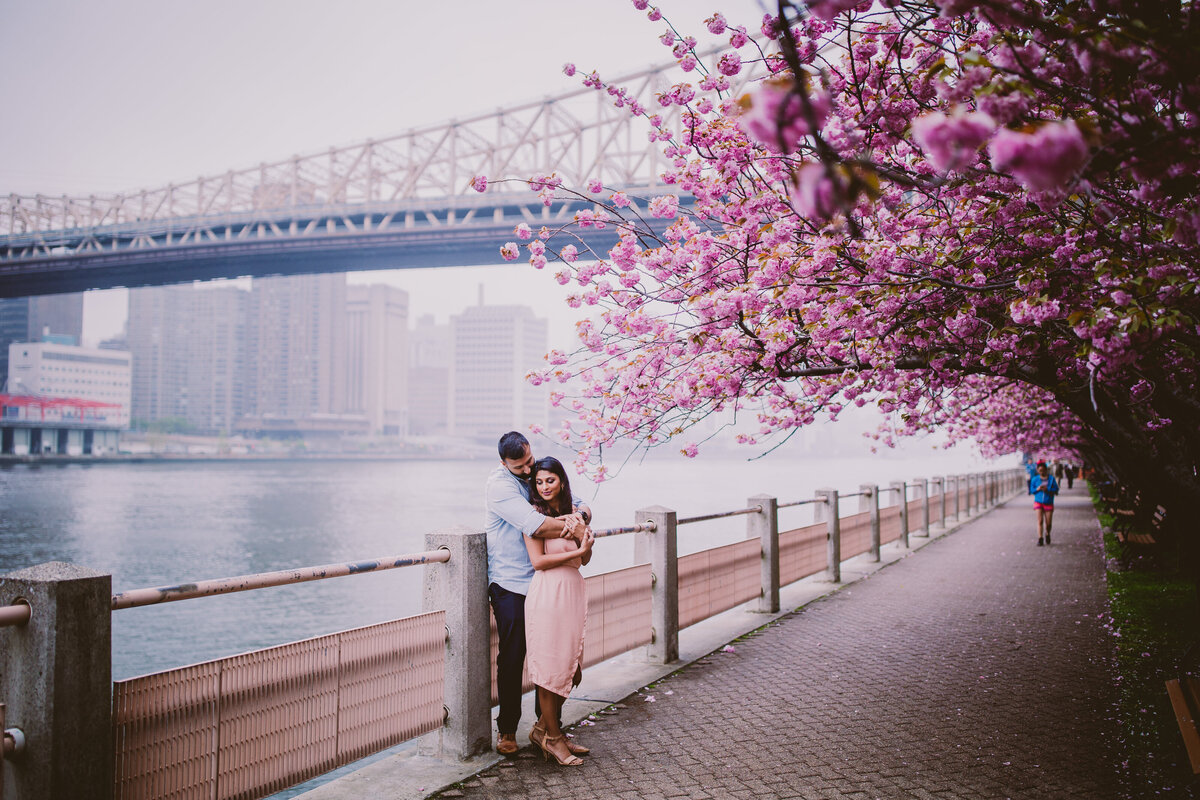 A couple embrancing by some cherry blossom trees at roosevelt island in nyc