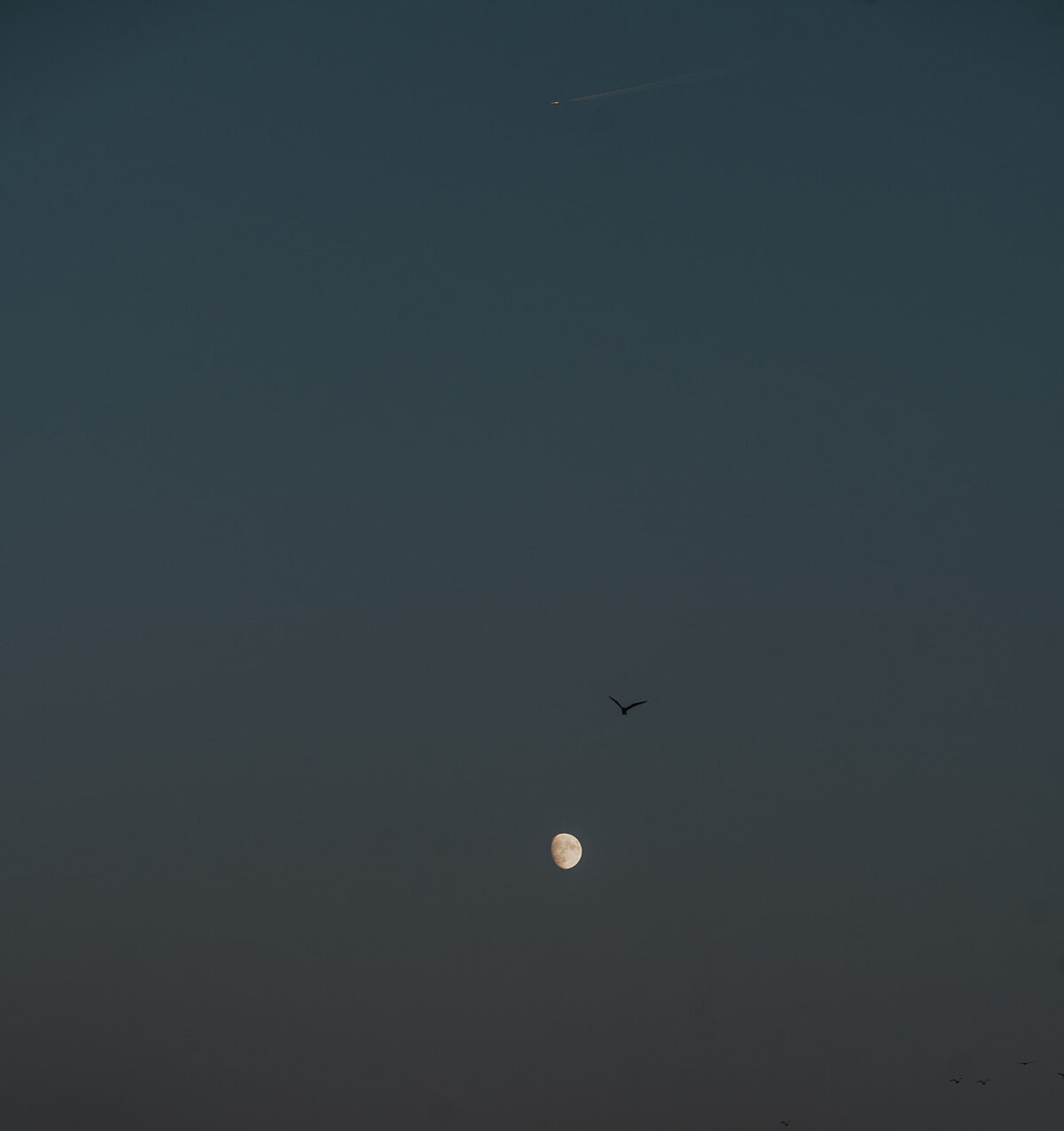 Suzy Anderson Photography_-223