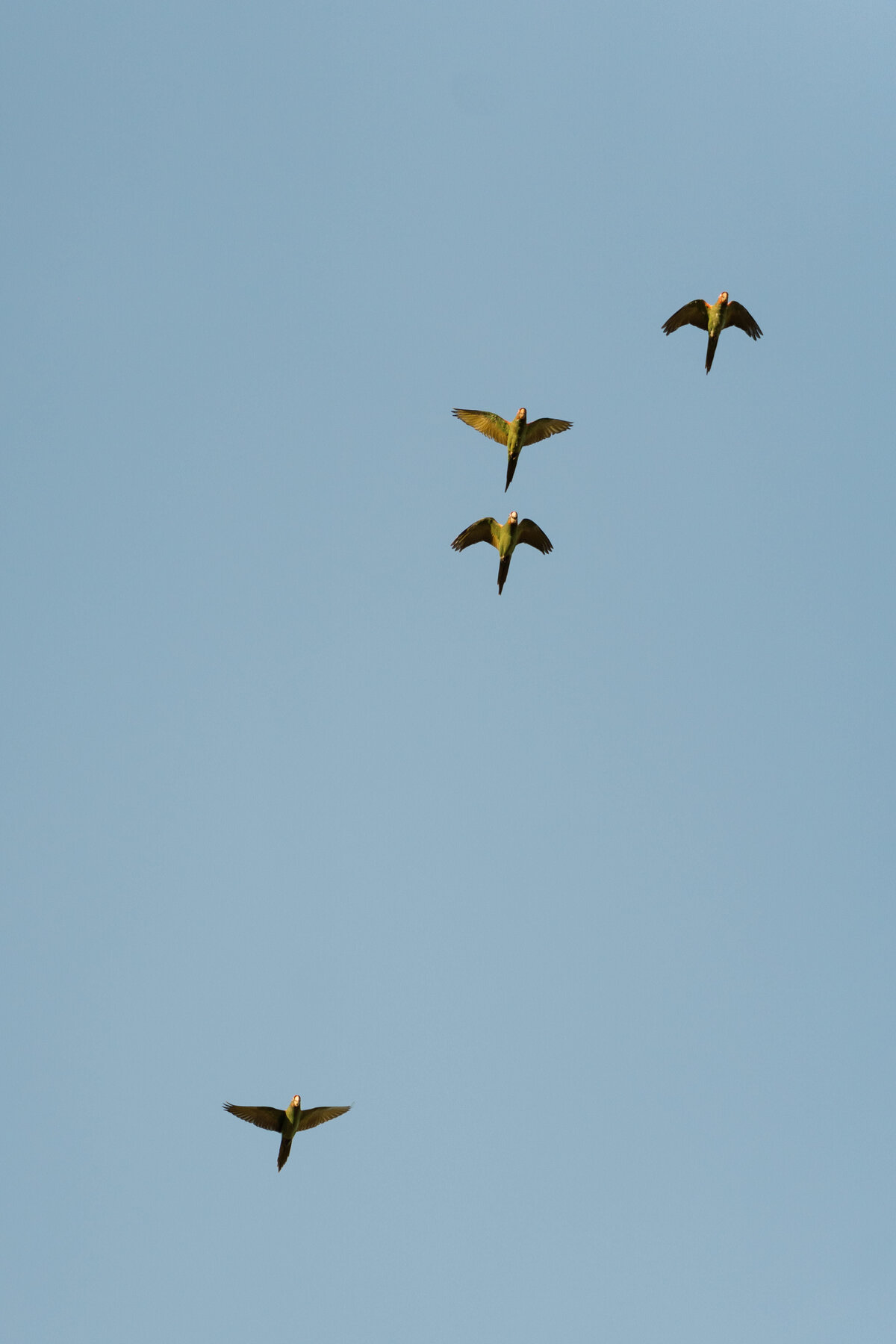 orange-county-wedding-29