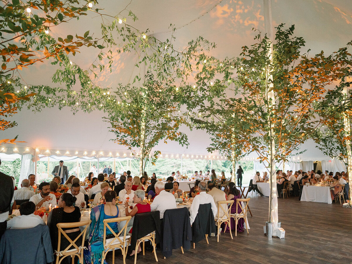 Monika & Calum-Liz Andolina Photography-1418