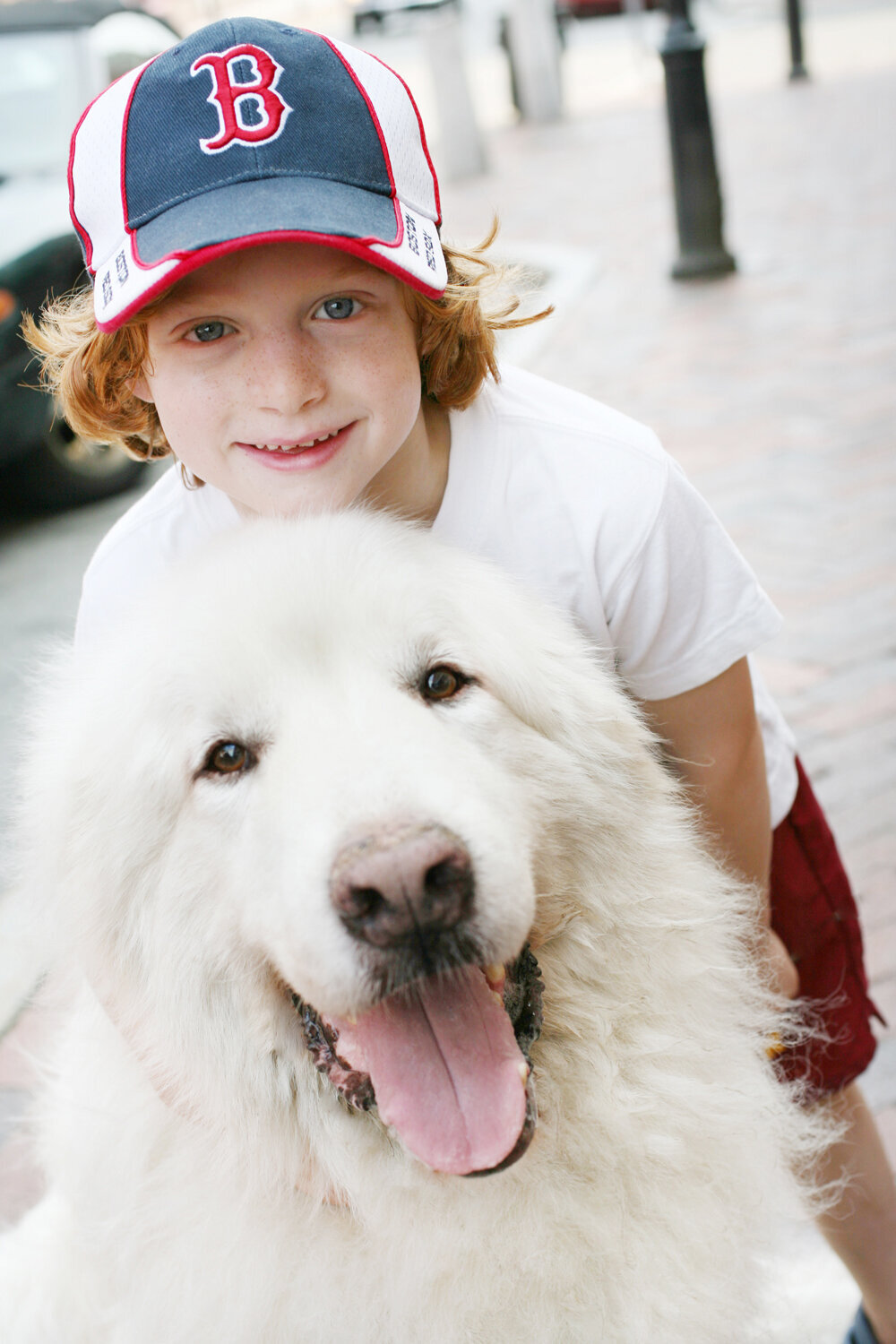 Golden-Retriever-little-boy-love-Peaches-&-Teddy-Pet-Photography-jpg.